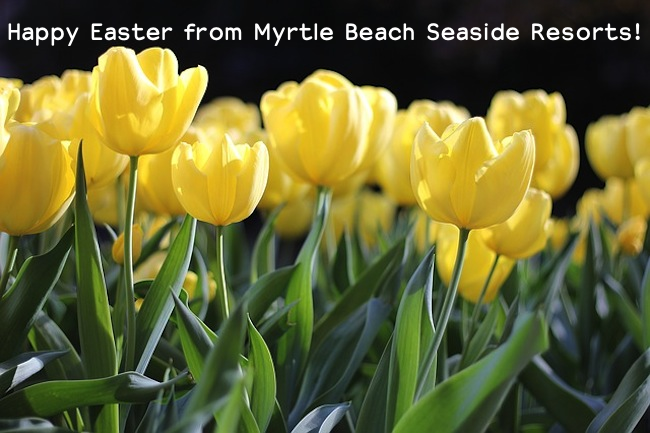Celebrating Easter in Coastal Myrtle Beach